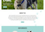 create dog walking website pet care website kennel website dog walking website